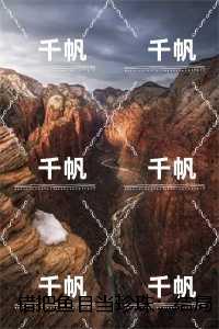 错把鱼目当珍珠:小说免费