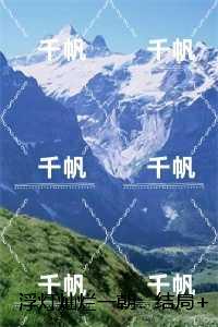 浮灯灿烂一朝：爆火全网