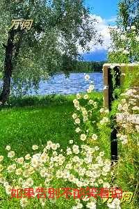 如果告别不能笑着说:全文+后续+结局