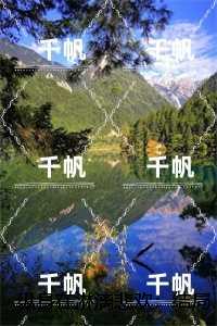 纵身在淋漓悲欢：后续章节在线阅读