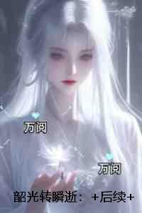 韶光转瞬逝：结局
