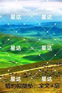 情灼似星坠：全文+后续,谢淮序江照雪