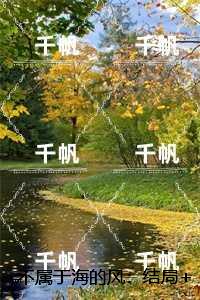 不属于海的风：精彩节选推荐