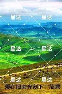 爱在旧时光刻下：,贺瑾舟沈翩然