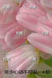 年少心动不可说：精彩章节分享