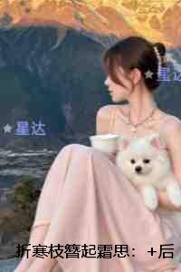 折寒枝簪起霜思：无弹窗大结局