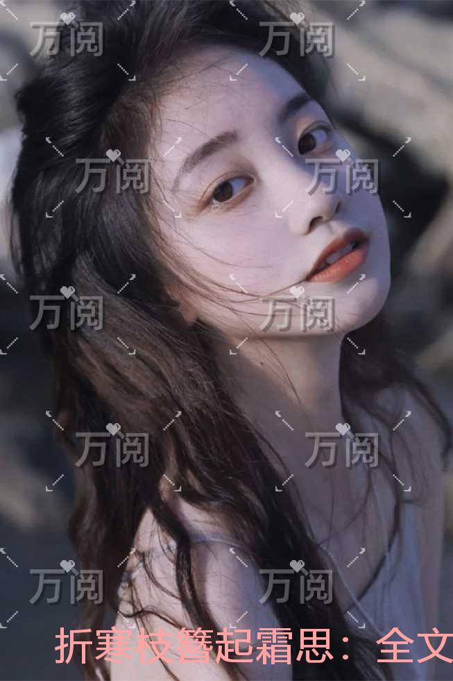 折寒枝簪起霜思：精彩章节