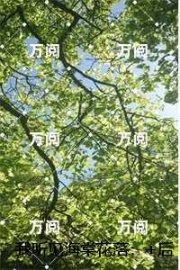 我听见海棠花落：精品