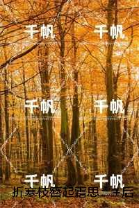 折寒枝簪起霜思：小说高潮章节抢先看