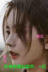折寒枝簪起霜思：人气小说未删减节选