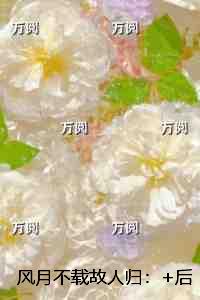 风月不载故人归：全部目录