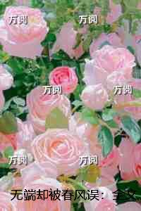 无端却被春风误免费赏析