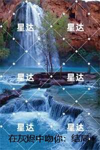 在灰烬中吻你：全集小说推荐