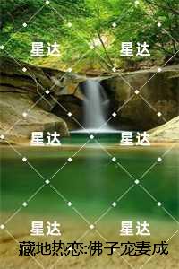 藏地热恋:佛子宠妻成瘾：全文+完结+后续