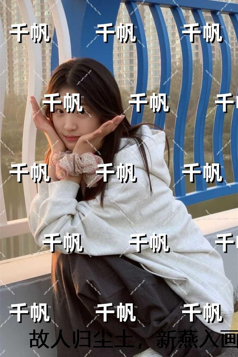 故人归尘土，新燕入画梁：后续更新