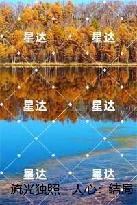流光独照一人心：全文+后续+结局