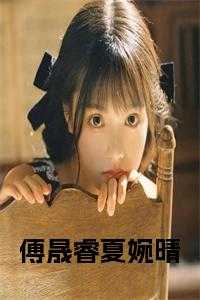 傅晟睿夏婉晴精心编著