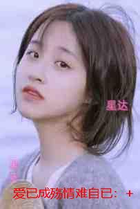 爱已成殇情难自已：+免费+后续