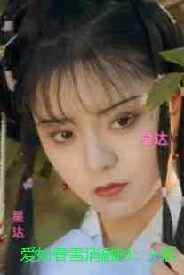 爱如春雪消融时：前言+后续