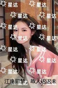 江南旧梦，故人迟迟未归：高质量小说