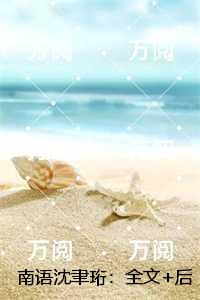南语沈聿珩：完结爽文