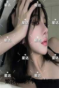 繁花似锦不休：精品阅读