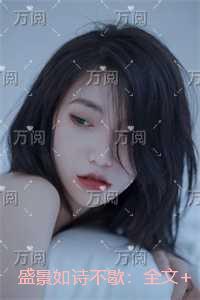 盛景如诗不歇：+结局+番外