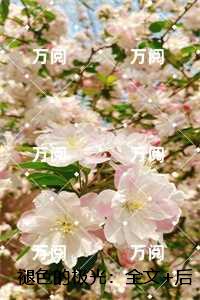 褪色的极光：全文+番茄