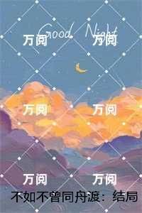 不如不曾同舟渡：高质量小说