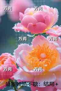 盛景如诗不歇：+全文+番外