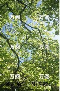 或言余生一别两散：强推