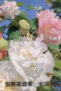 倪雾裴淮聿：新上热文