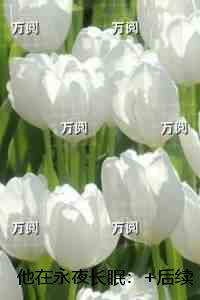 他在永夜长眠：结局+番外宝藏文