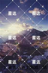 如果雪落满上海滩：正版
