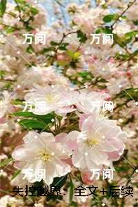 失控越界：全文免费