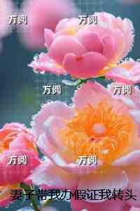 妻子带我***我转头娶了她姐姐：高质量小说