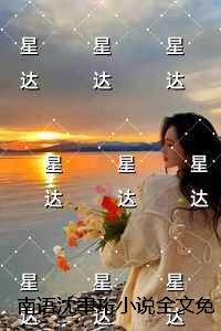 南语沈聿珩结局
