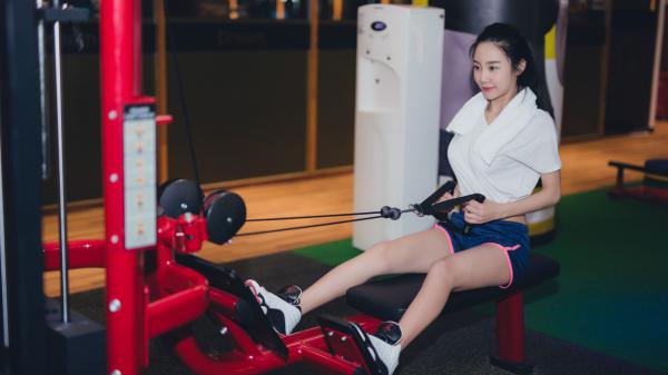 小说陆总，你的替嫁新娘是真千金第3章精选阅读