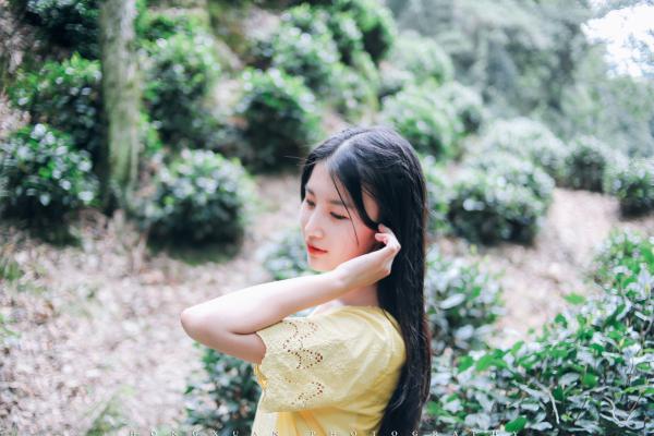 宋清妤宋娇娇萧知凛（凛冬散尽，永夜长明：结局+番外）全文免费阅读无弹窗大结局_宋清妤宋娇娇萧知凛最新章节列表_笔趣阁（凛冬散尽，永夜长明：结局+番外）