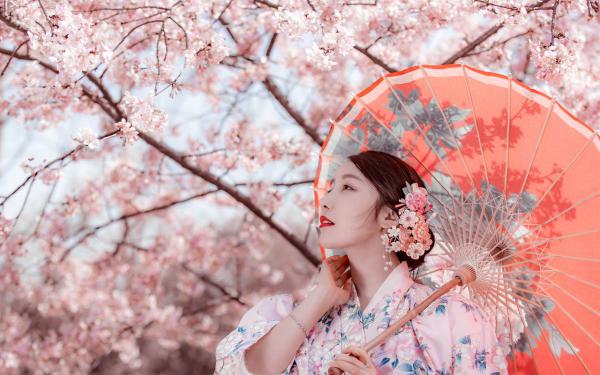 宋惜惜战北望(桃花马上请长缨小说)全文免费阅读无弹窗大结局_(桃花马上请长缨小说全文大结局)桃花马上请长缨小说最新章节列表_笔趣阁（宋惜惜战北望）
