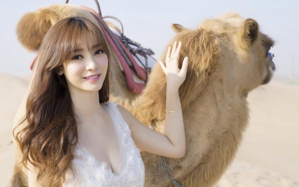 《荒年被退婚，满仓肉改嫁未来首辅》大结局精彩试读 《荒年被退婚，满仓肉改嫁未来首辅》最新章节目录
