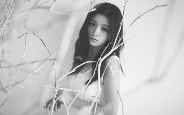 全本小说宋沉野苏清婉小说最新章节_全本小说宋沉野苏清婉免费阅读