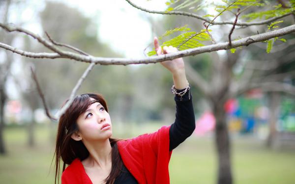 南初赵驰年（南初赵驰年）全文免费阅读无弹窗大结局_南初赵驰年在线阅读（南初赵驰年）