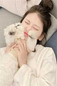 穿越星际时代，她被迫改造反派 推介