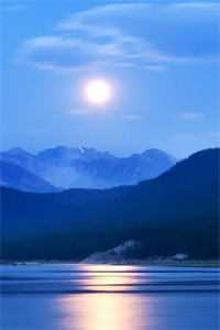 穿越小白脸，女帝只想要我