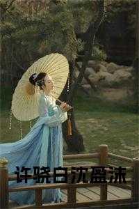 许骁白沈盈沫小说