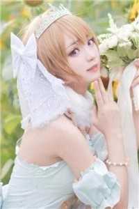 团宠科研小炮灰，带领国家飞飞飞 文集