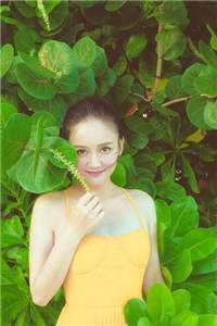 官场：从基层开始踏上权力巅峰畅读