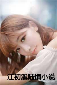 江初溪陆慎小说