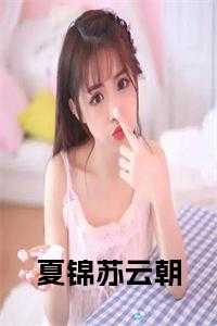 夏锦苏云朝正版